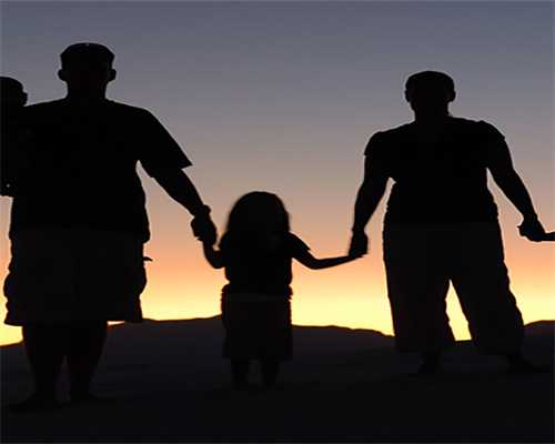 郑州协和医院助孕价格一览表，包含中药调理和辅助技术