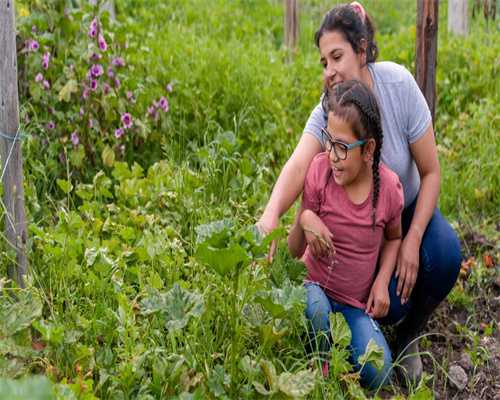 试管移植43岁鲜囊成功率_41岁移植鲜胚成功率