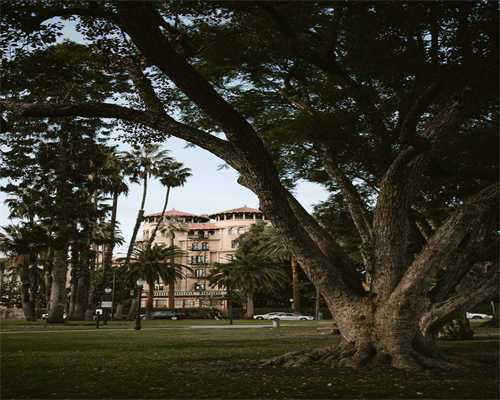 鹤壁市供卵机构安全性评估，选对机构让求子之路更顺畅